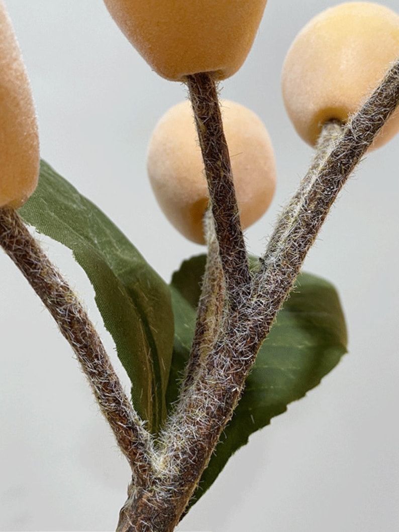May include: Close-up of a branch with fuzzy brown stems and small peach-colored felt berries. The branch has a few green leaves.