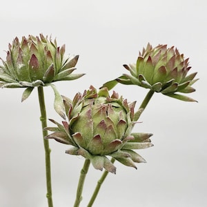 Peut inclure: Trois fleurs artificielles de chardon vert et brun avec une texture duveteuse.