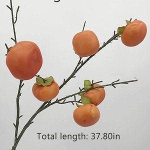 May include: Orange persimmon branch with six fruit, the branch is 37.80 inches long.