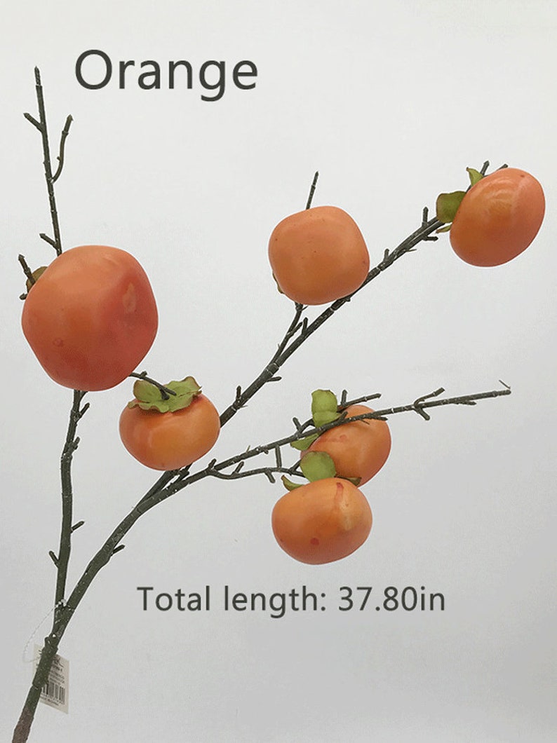 May include: Orange persimmon branch with six fruit, the branch is 37.80 inches long.