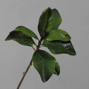 Quality Magnolia Leaf Stem, Artificial Ficus Branch with Large Foliage, Home Small Tree Decor, Party Floral Arrangement, for Outdoor Wedding