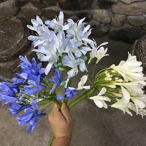 Artificial Agapanthus Stem, Realistic African Lily Flower, Home Floral Decor, Bridal Bouquet DIY, Party Spray Craft, Wedding Arrangement