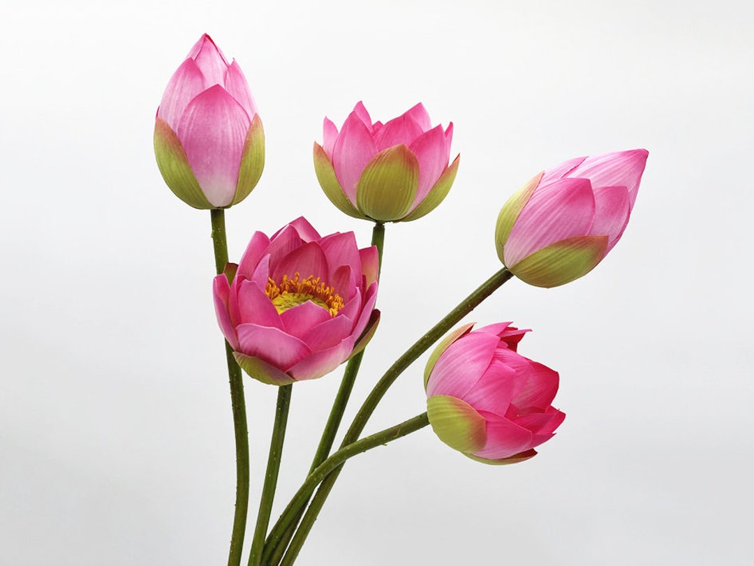 Fake Lotus Flower Stem, Water Lily Buds, Summer Flower Spray, Home