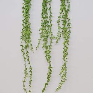 Artificial String of Bananas Vine, Faux String of Pearls Trailing Succulent Hanging Plant, Realistic Senecio Radicans Garland  Wall Decor