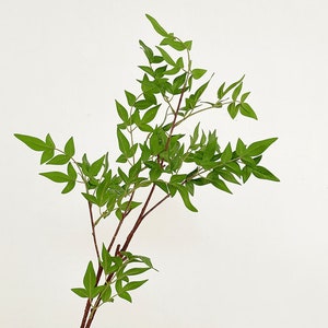 Sacred Heavenly Bamboo Long Branch, Artificial Nandina Domestica, Real Touch Leafy Greenery, Quality Twig with Foliage, Indoor Plant Decor