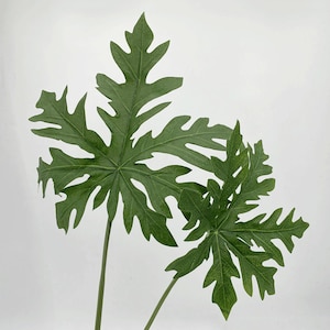 Papaya Leaf Stem Artificial, Fake Lacy Tree Philodendron Foliage, Home Floral Decor, Faux Bouquet Filler, Wedding Party Arrangement Greenery