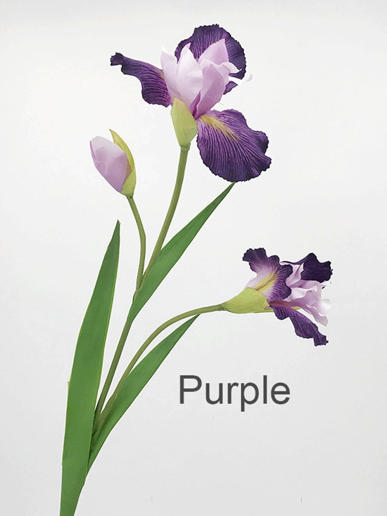 May include: Purple artificial iris flower stem with three blooms, one open and two buds. The stem has long green leaves.