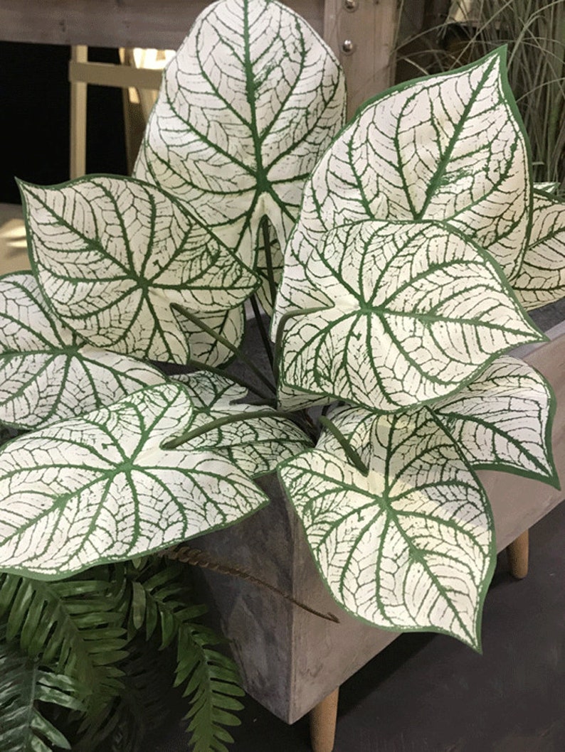 Artificial Caladium Plant Fake Greenery With Foliage Home Etsy