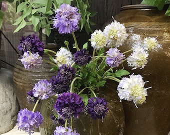 Quality Scabiosa Flower with Long Stem, Artificial Imperial Pincushion Bloom, Wildflower with Real Touch Petal, Home Floral Decoration Gift