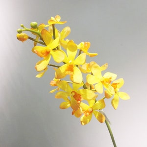 Fake Vanda Orchid Stems, Artificial Flower Crafts, Home Floral Decor, Bridal Bouquet Fillers, Wedding Party Centerpiece, Window Bloom Spray