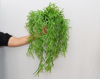 Artificial Staghorn Fern Hanging Bundle, Faux Cascading Tropical Greenery, Plant for Wall Decor, Wedding Greenery Filler, Floral Arrangement