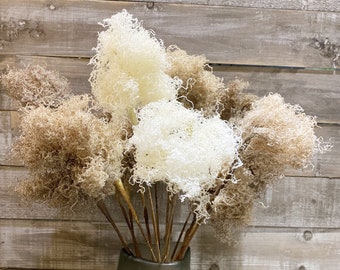 May include: A bouquet of dried decorative stems in a dark green vase. The stems are a mix of beige and white, with a curly, textured appearance. The background is a rustic wooden wall.