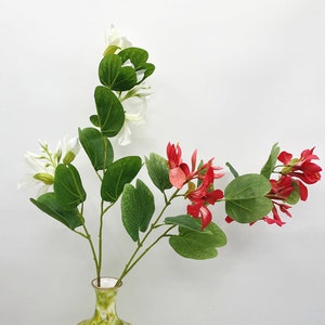 Bauhinia Purpurea Stems with Leaves and Buds, Fake Orchid Tree Flower Craft, Artificial Flower, Home Floral Decor, Party Bloom Arrangement