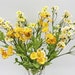 see more listings in the Fiori artificiali section