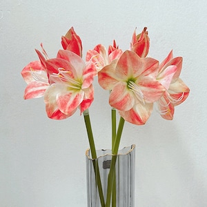 Artificial Amaryllis Individual Stem, Realistic Hippeastrum Rutilum Flower, Real Touch Petal Craft, Home Floral Decor, Bouquet DIY Material