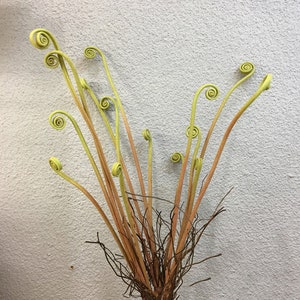 Fern Shoots with Roots, Rustic Wild Plant Crafts, Tropical Greenery, Artificial Flowers, Home Floral Decor, Wedding Party Table Centerpiece