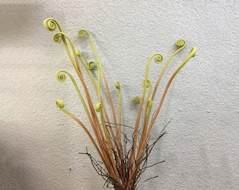 Fern Shoots with Roots, Rustic Wild Plant Crafts, Tropical Greenery, Artificial Flowers, Home Floral Decor, Wedding Party Table Centerpiece