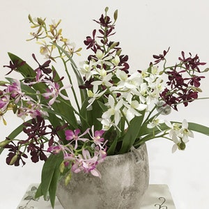 Artificial Cymbidium with Foliage and Root, Fake Vanda Orchid Plant, Chinese Home Bonsai Floral Arrangement, Party Flower Table Centerpiece