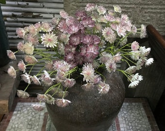 Artificial Astrantia Major Stem, Realistic Star Flower, Rustic Wildflower, Wedding Bouquet DIY, Home Floral Arrangement, Dining Table Spray