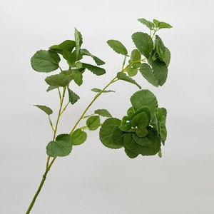 Pode incluir: Um único caule de vegetação artificial com múltiplas folhas verdes. As folhas estão agrupadas e têm uma superfície ligeiramente texturizada.