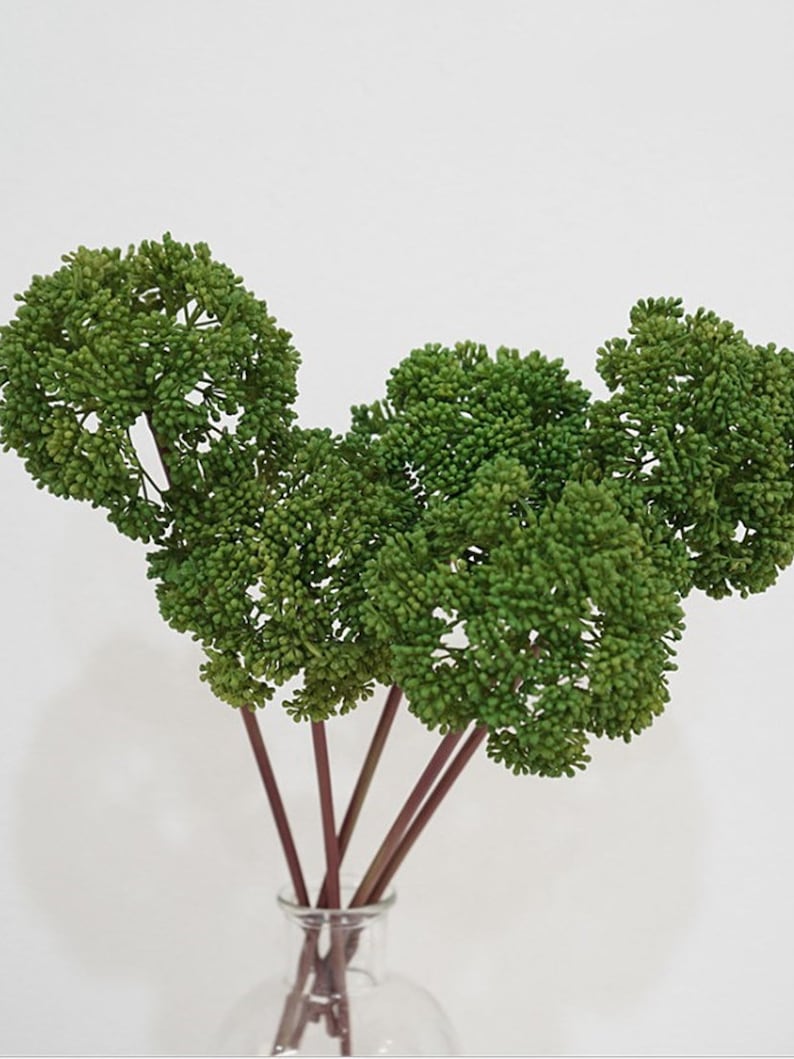 Fake Broccoli Fake Broccoli Stems, Brassica Oleracea, Artificial Flower Crafts ...