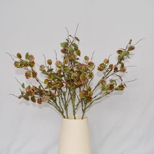 Può includere: Un vaso color crema contiene una composizione di verde artificiale. I sottili steli marroni portano piccole foglie rotonde, verdi con bordi rosso-rosa. L'insieme è posto su uno sfondo bianco, per un effetto naturale.