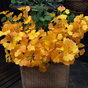 以下が含まれることがあります： 黄色い葉の鉢植えのクローズアップ。葉は房状に配置され、わずかにざらざらした表面をしています。鉢は編まれた素材でできており、茶色です。