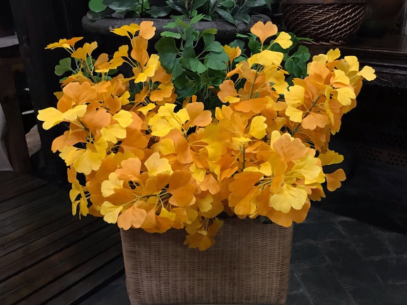 以下が含まれることがあります： 黄色い葉の鉢植えのクローズアップ。葉は房状に配置され、わずかにざらざらした表面をしています。鉢は編まれた素材でできており、茶色です。
