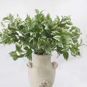 May include: A bouquet of artificial green and white variegated leaves in a cream-colored ceramic vase with decorative handles.