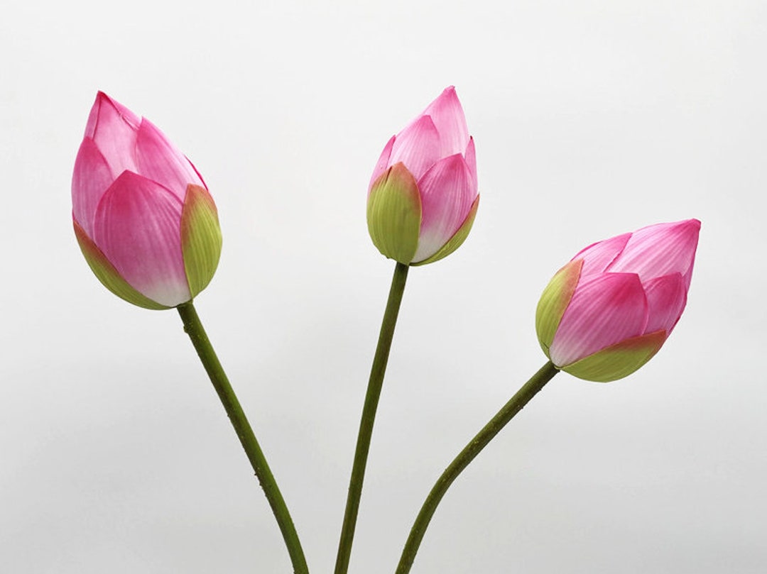 Fake Lotus Flower Buds, Water Lily Stem, Summer Flower Spray, Home
