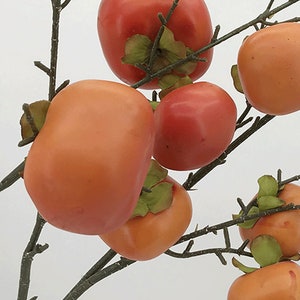 May include: A branch with multiple orange and red persimmon fruit. The persimmon fruit is arranged in a cluster on the branch.