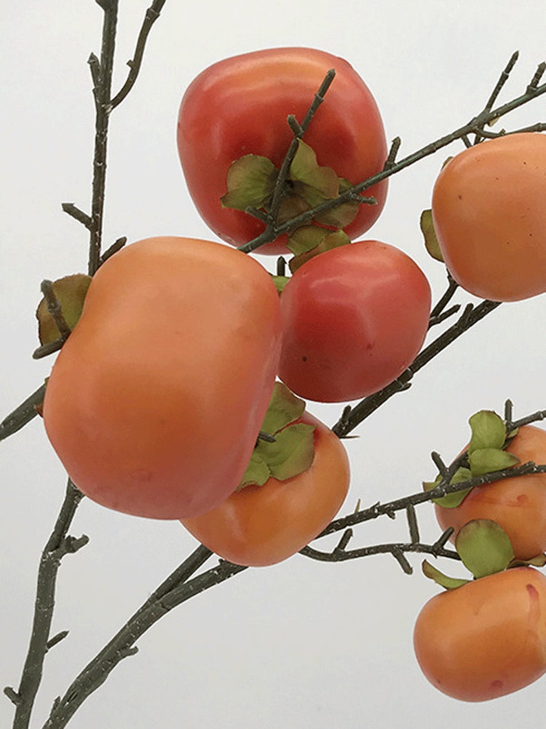 May include: A branch with multiple orange and red persimmon fruit. The persimmon fruit is arranged in a cluster on the branch.