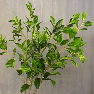 Real Touch Camellia Foliage Long Branch, Artificial Greenery with Leaf, Indoor Twig Decor, Outdoor Floral Arrangement, Floor Vase DIY Filler