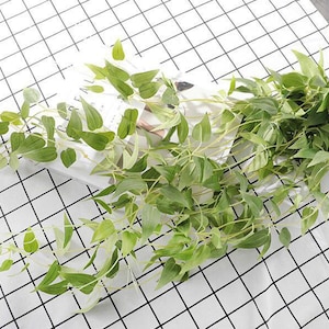 May include: A bunch of artificial green leafy vines with stems. The vines are arranged on a white grid background.