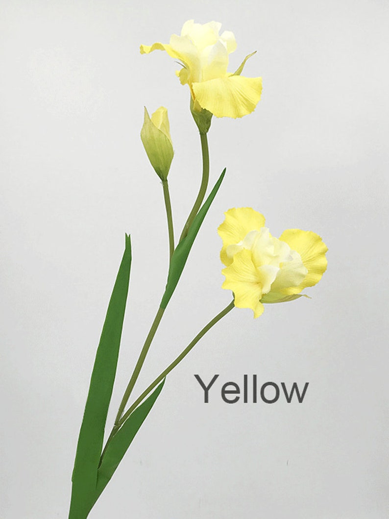 May include: A single stem of yellow artificial iris flowers with green leaves. The flowers have a white center and are in bloom. The text "Yellow" is printed below the flowers.