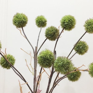 May include: Artificial plant arrangement featuring multiple green, spherical decorative elements. The spheres are attached to dark brown stems, creating a natural, textured appearance. The background is a plain white.
