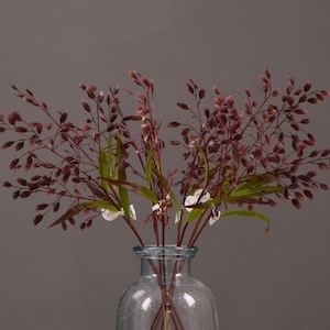 May include: A bouquet of dried burgundy-colored grass stems in a clear glass vase against a gray background.