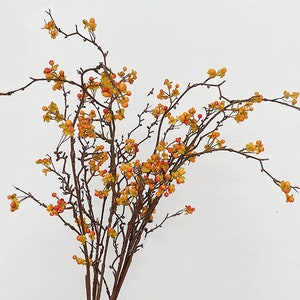 Artificial Bittersweet Fruit with Long Branch, Quality Small Berry Stem, Fall Fruit Twig Decor, Party Floral Arrangement, Floor Vase Filler