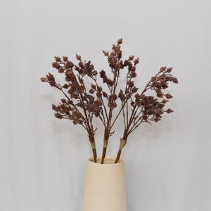 May include: A cream-colored ceramic vase holds several brown, dried floral stems. The vase has a textured surface and a cylindrical shape. The dried flowers have small, clustered buds and slender branches, creating a natural, decorative arrangement.