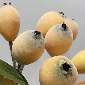 May include: A cluster of small, fuzzy, yellow fruit with brown stems and green leaves. The fruit is arranged in a bunch, with some fruit overlapping.