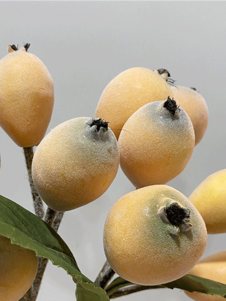 May include: A cluster of small, fuzzy, yellow fruit with brown stems and green leaves. The fruit is arranged in a bunch, with some fruit overlapping.