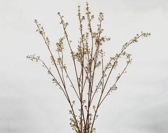 Dead Branch with Buds, Rustic Berry Long Twig, Artificial Flower Craft, Home Floral Decor, Wedding Arrangement Centerpiece, for Garland Arch