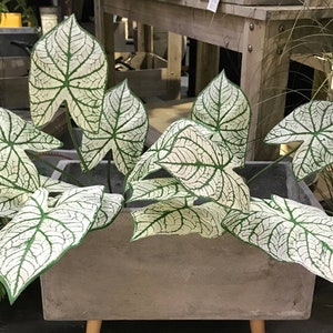 Artificial Caladium Plant, Fake Greenery with Foliage, Home Tropical Leafy Houseplant, Indoor White Christmas, Outdoor Garden Floral Decor