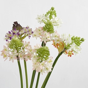 Artificial Star of Bethlehem Stem, Faux Ornithogalum Dubium Flower, Rustic Floral Arrangement, Party Bouquet Material, Home Wildflower Decor