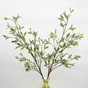 Zilveren Buxus Plant Bonte Plant, Fake Foliage Twig, Rustiek Groen, Kunstbloem Ambacht, Bruiloft Arrangement, Bladeren voor Boeket