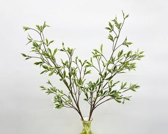 May include: A bunch of artificial green and white variegated leaves with a white border on each leaf. The leaves are arranged in a vase.