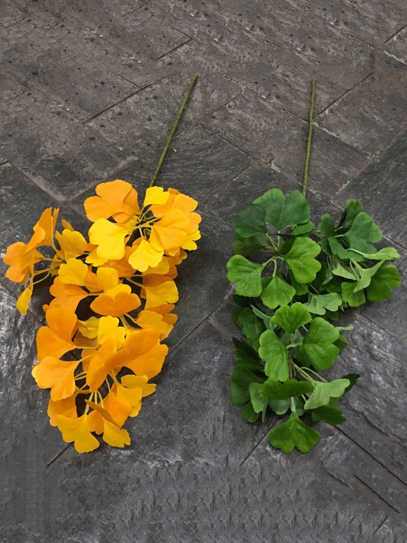 以下が含まれることがあります： 黄色の葉と緑色の葉の2本の銀杏の葉の茎。茎は灰色のタイル張りの表面にあります。