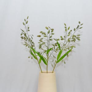 May include: Three stems of green oat grass with slender stalks and delicate, drooping seed heads arranged in a light beige, cylindrical vase. The plant features long, narrow, pointed leaves at the base of the stems, creating a natural display.