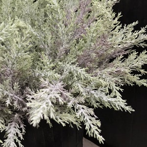 Puede incluir: Un manojo de vegetaci&oacute;n artificial verde claro y blanco en una maceta negra. La vegetaci&oacute;n tiene una textura plumosa y parece un tipo de cedro.