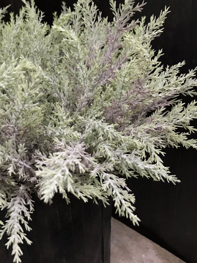 Puede incluir: Un manojo de vegetaci&oacute;n artificial verde claro y blanco en una maceta negra. La vegetaci&oacute;n tiene una textura plumosa y parece un tipo de cedro.